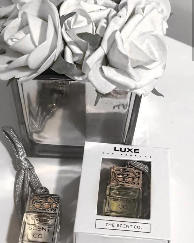 Dior sauvage car sales scent